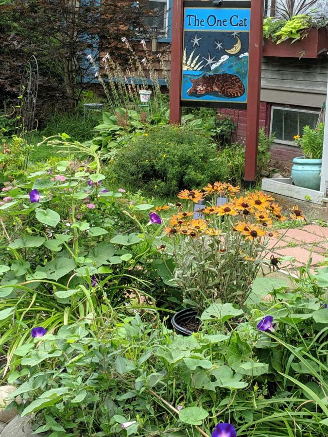 Bed and Breakfast The One Cat Brattleboro Exteriér fotografie